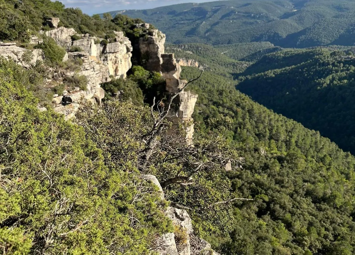 Masiadenjust Rojals Spain