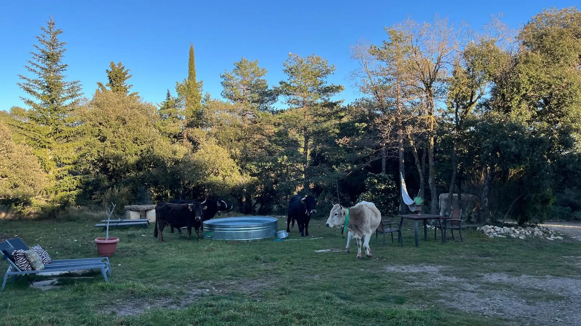 Country house Masiadenjust Rojals Spain