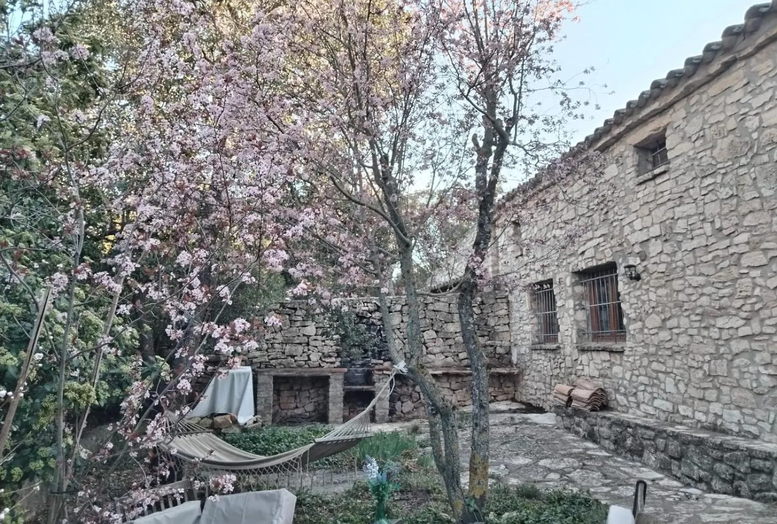 Masiadenjust Rojals Spain